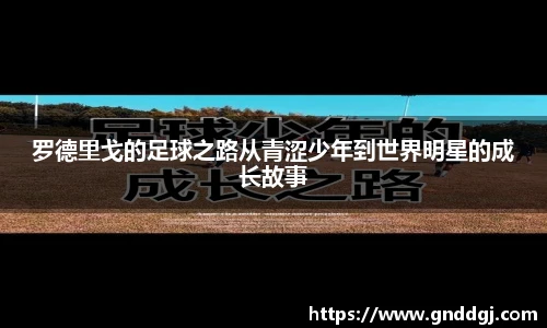 bsports必一登录入口