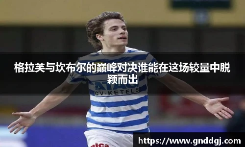 格拉芙与坎布尔的巅峰对决谁能在这场较量中脱颖而出